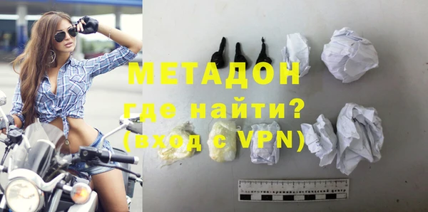индика Няндома