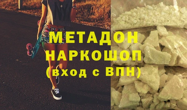 индика Няндома