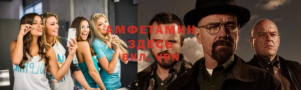 индика Няндома