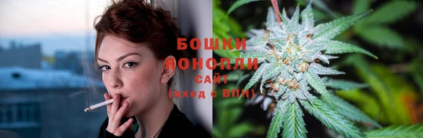 таблы Новозыбков