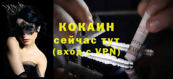 индика Няндома