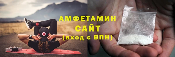 индика Няндома