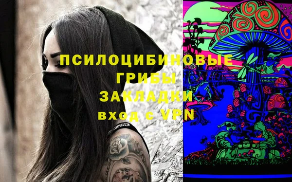 шишки Новокубанск