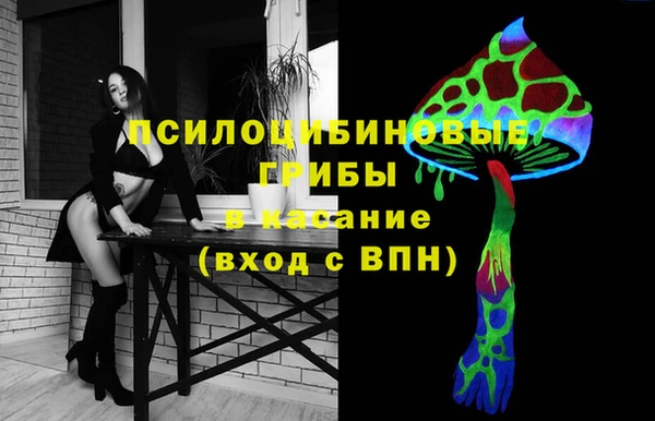 стаф Вязники