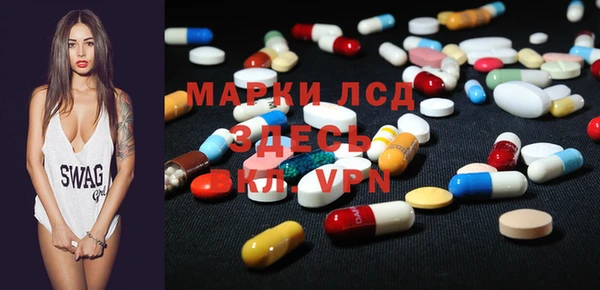 шишки Новокубанск