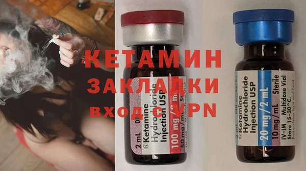 индика Няндома