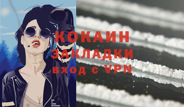 шишки Новокубанск