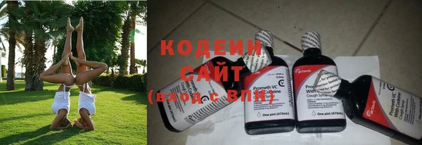 индика Няндома