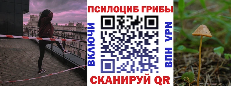 Галлюциногенные грибы мухоморы  Ковылкино 