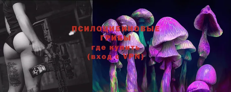 магазин    Ковылкино  Псилоцибиновые грибы Magic Shrooms 